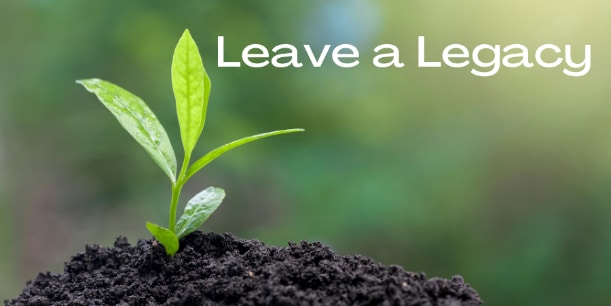 Leave a legacy or planned giving